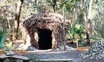 Bi2_foca_hut_curran_tiny_landscape