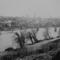 Fredericksburg_small_square