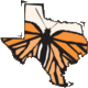 Icon tx monarch 175