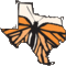 Icon tx monarch 175 small square