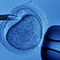 In-vitro-fertilization-2_small_square