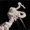 740px-challenger_explosion_small_square