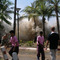 2004-tsunami_small_square