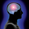 Head and brain small square