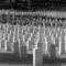 Cemetary_small_square