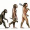 Consequences of evolution 631 small square