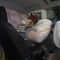 350px suzuki alto body2 aims small square