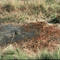 Waste_1976_small_square