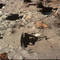 Waste_barrel_small_square