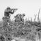 Fileww2_158_small_square