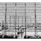 Ronalds_exp_small_square