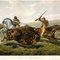 Prvbuffalo%20hunt_small_square