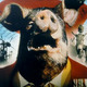 Animal farm