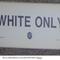 Whites%20only%20sign_small_square