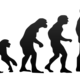 Human%20evolution