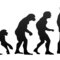 Human%20evolution small square