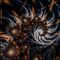 Timewave-zero_small_square