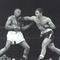 Rocky_small_square