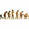 Evolution_small_square