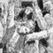 Regimenes_small_square