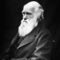 200px charles darwin 01 small square