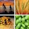 Materia_small_square