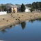 Shore_small_square