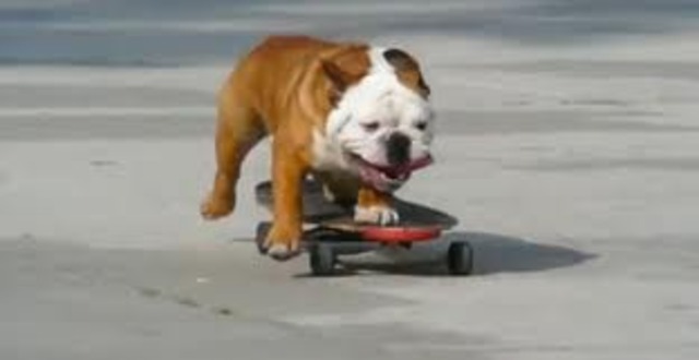 Rhode Island Skateboarding Laws Rhode Island Skateboarding Laws