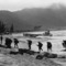 Marines-arrive-at-da-nang-vietnam_small_square