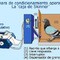 Paloma_small_square