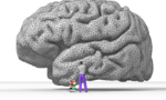 Brain_tiny_landscape