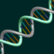 The science of dna small square