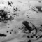 Midway_small_square