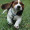 Images_small_square