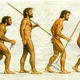 Evolucion humana 646622