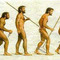 Evolucion humana 646622 small square