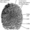Imgres small square