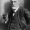Sigmund_project_small_square