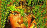 Book_cover_tiny_landscape