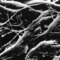 Cancer-future-cure_small_square