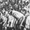 Vikings_small_square
