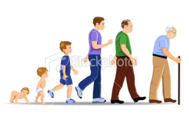 human development clipart - photo #22