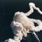 S-challenger-space-shuttle-explosion-large_small_square
