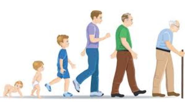 DESARROLLO PUBERTAD desarrollo pubertad: