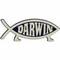Darwin_fish_small_square