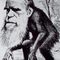The_darwin_ape_small_square