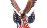 Gpd32419americaneagleflag_tiny_landscape
