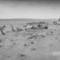 Drought_1930s_small_square