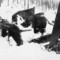 Wellington_avalanche_small_square