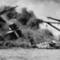 Attack_on_pearl_harbor_small_square